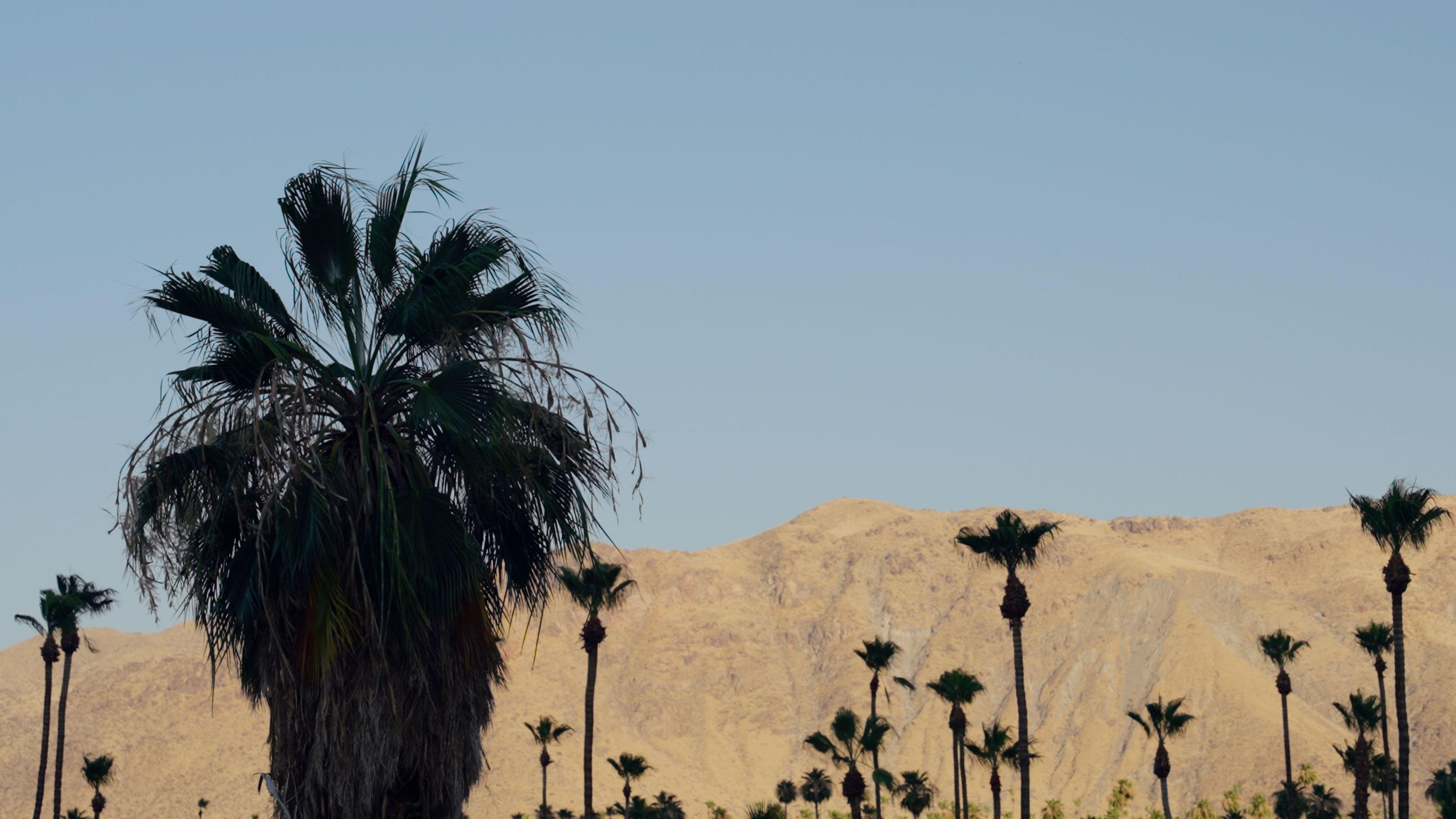 Royal Sun Palm Springs Hotel Luaran gambar